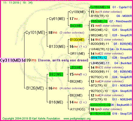 Pedigree of Cy311(ME)1dr :
four generations presented
it's temporarily unavailable, sorry!