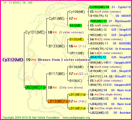 Pedigree of Cy312(ME) :
four generations presented
it's temporarily unavailable, sorry!