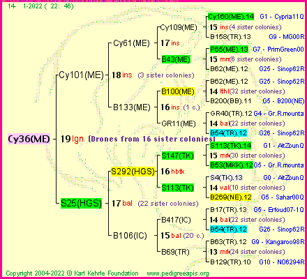 Pedigree of Cy36(ME) :
four generations presented
it's temporarily unavailable, sorry!