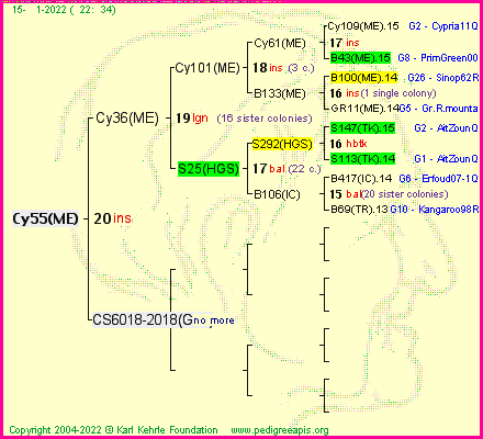 Pedigree of Cy55(ME) :
four generations presented
it's temporarily unavailable, sorry!
