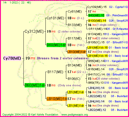 Pedigree of Cy78(ME) :
four generations presented
it's temporarily unavailable, sorry!