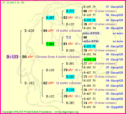 Pedigree of D-123 :
four generations presented