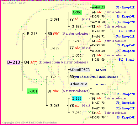 Pedigree of D-213 :
four generations presented