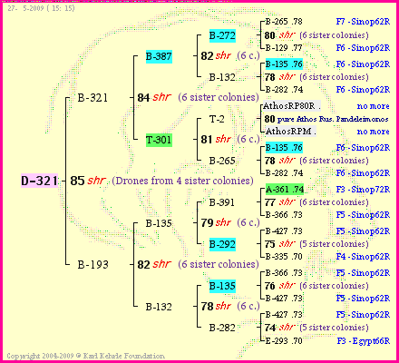 Pedigree of D-321 :
four generations presented