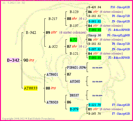 Pedigree of D-342 :
four generations presented