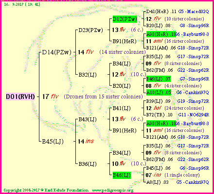 Pedigree of D01(RVH) :
four generations presented<br />it's temporarily unavailable, sorry!