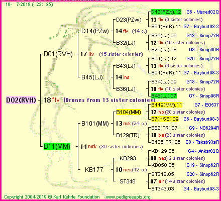 Pedigree of D02(RVH) :
four generations presented<br />it's temporarily unavailable, sorry!