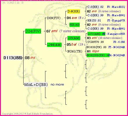 Pedigree of D113(JBB) :
four generations presented