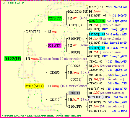 Pedigree of D122(TF) :
four generations presented<br />it's temporarily unavailable, sorry!