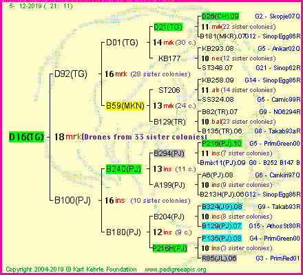 Pedigree of D16(TG) :
four generations presented
it's temporarily unavailable, sorry!