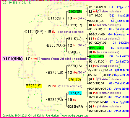 Pedigree of D171(HHk) :
four generations presented
it's temporarily unavailable, sorry!