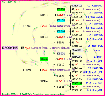 Pedigree of D200(CHB) :
four generations presented