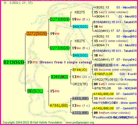 Pedigree of D213(SGS) :
four generations presented
it's temporarily unavailable, sorry!