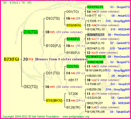 Pedigree of D23(TG) :
four generations presented
it's temporarily unavailable, sorry!