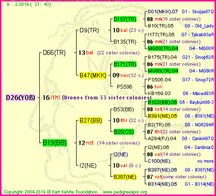 Pedigree of D26(YOB) :
four generations presented<br />it's temporarily unavailable, sorry!