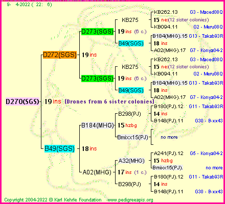 Pedigree of D270(SGS) :
four generations presented
it's temporarily unavailable, sorry!