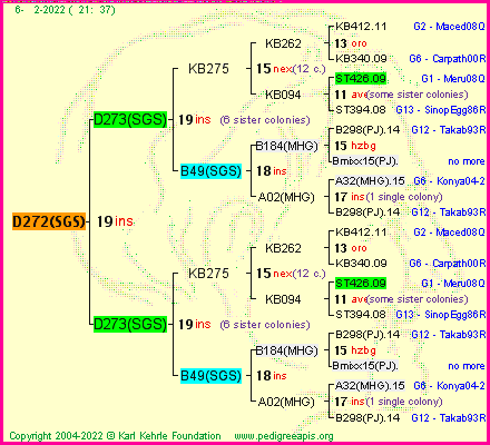 Pedigree of D272(SGS) :
four generations presented
it's temporarily unavailable, sorry!