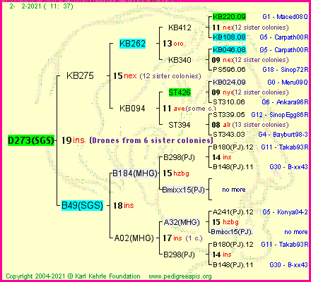 Pedigree of D273(SGS) :
four generations presented
it's temporarily unavailable, sorry!