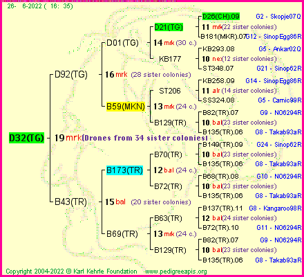 Pedigree of D32(TG) :
four generations presented
it's temporarily unavailable, sorry!