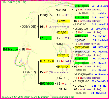 Pedigree of D41(YOB) :
four generations presented<br />it's temporarily unavailable, sorry!