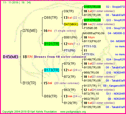 Pedigree of D45(ME) :
four generations presented
it's temporarily unavailable, sorry!