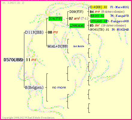 Pedigree of D570(JBB) :
four generations presented