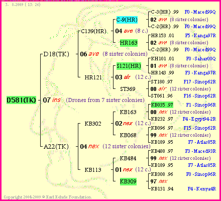 Pedigree of D581(TK) :
four generations presented