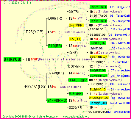 Pedigree of D70(YOB) :
four generations presented<br />it's temporarily unavailable, sorry!