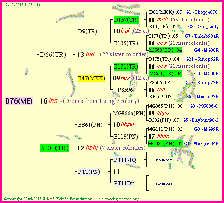 Pedigree of D76(ME) :
four generations presented
it's temporarily unavailable, sorry!