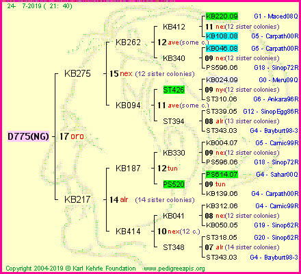 Pedigree of D775(NG) :
four generations presented<br />it's temporarily unavailable, sorry!