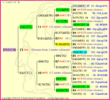 Pedigree of D92(CH) :
four generations presented<br />it's temporarily unavailable, sorry!