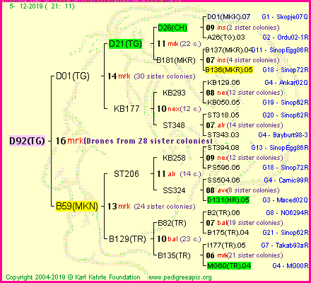 Pedigree of D92(TG) :
four generations presented
it's temporarily unavailable, sorry!