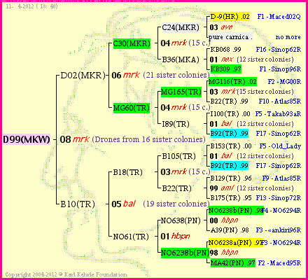 Pedigree of D99(MKW) :
four generations presented<br />it's temporarily unavailable, sorry!