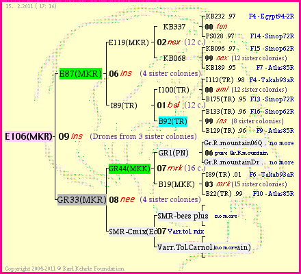 Pedigree of E106(MKR) :
four generations presented