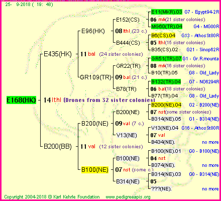 Pedigree of E168(HK) :
four generations presented<br />it's temporarily unavailable, sorry!