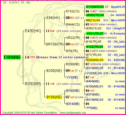 Pedigree of E184(HK) :
four generations presented<br />it's temporarily unavailable, sorry!