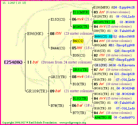 Pedigree of E254(HK) :
four generations presented