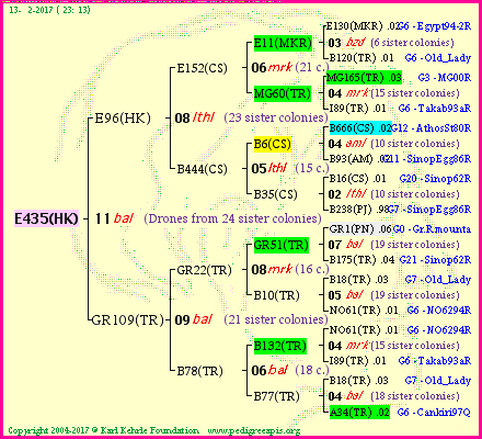 Pedigree of E435(HK) :
four generations presented