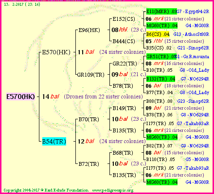 Pedigree of E570(HK) :
four generations presented