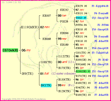 Pedigree of E87(MKR) :
four generations presented