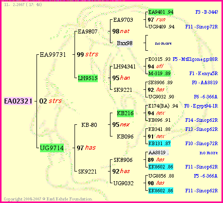 Pedigree of EA02321 :
four generations presented