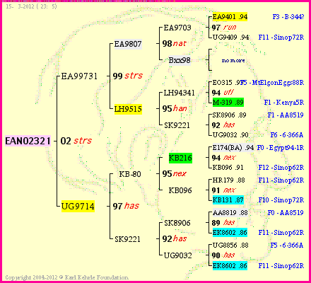 Pedigree of EAN02321 :
four generations presented
it's temporarily unavailable, sorry!