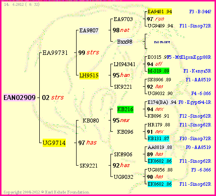 Pedigree of EAN02909 :
four generations presented