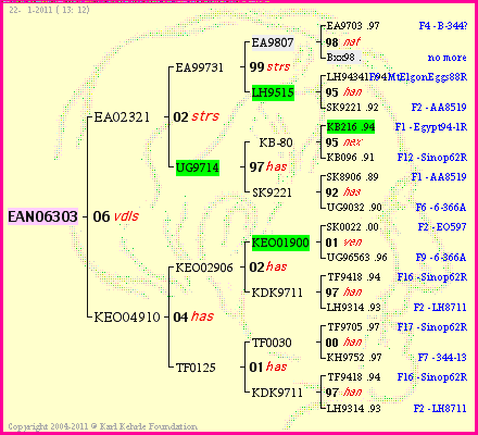 Pedigree of EAN06303 :
four generations presented