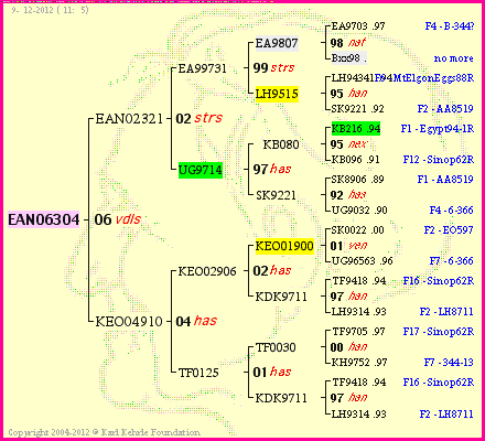 Pedigree of EAN06304 :
four generations presented