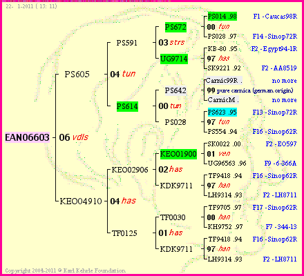 Pedigree of EAN06603 :
four generations presented