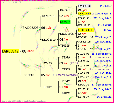 Pedigree of EAN08312 :
four generations presented