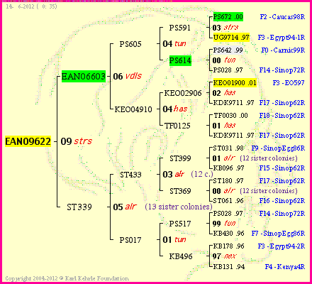 Pedigree of EAN09622 :
four generations presented