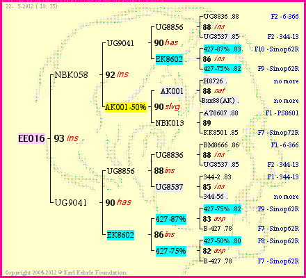 Pedigree of EE016 :
four generations presented