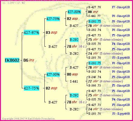 Pedigree of EK8602 :
four generations presented